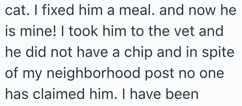cat. I fixed him a meal. and now he is mine! I took him to the vet and he did not have a chip and in spite of my neighborhood post no one has claimed him. I have been