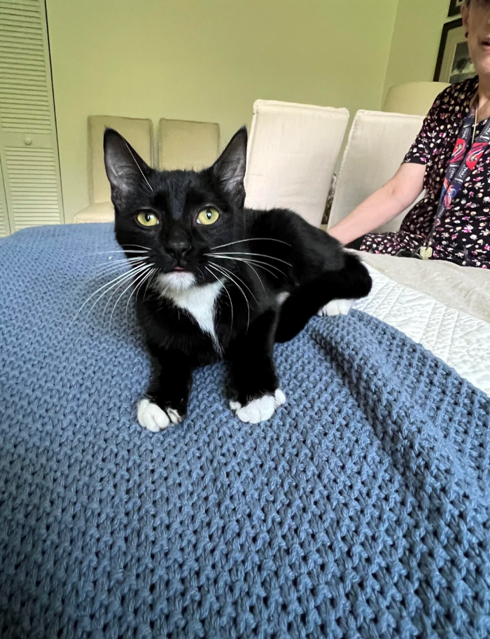 Cheezburger Image 10626638336