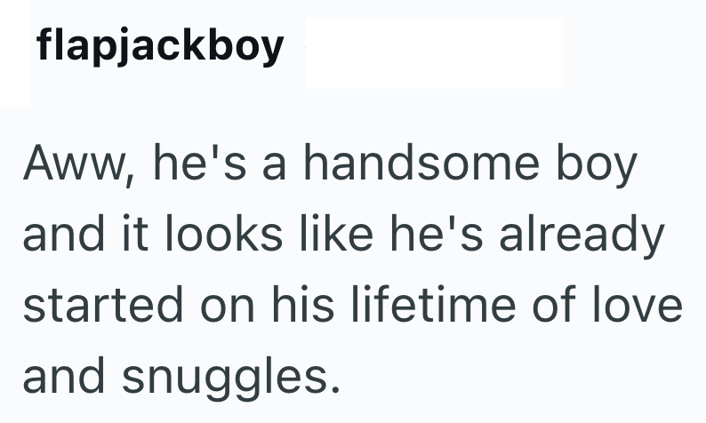 flapjackboy Aww, he's a handsome boy and it looks like he's already started on his lifetime of love and snuggles.