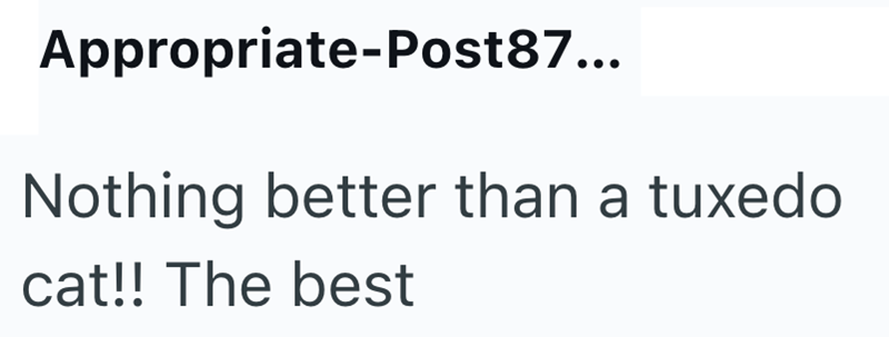 Appropriate-Post87... Nothing better than a tuxedo cat!! The best