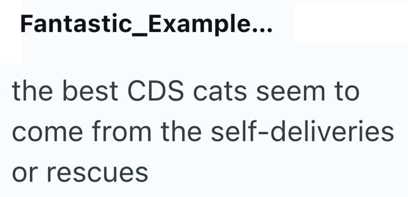 Fantastic_Example... the best CDS cats seem to come from the self-deliveries or rescues