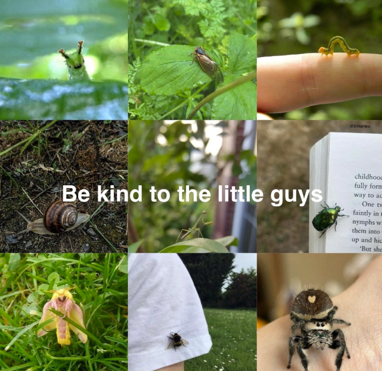 @Brittarilou Be kind to the little guys childhood fully form way to ac One tw faintly in nymphs w them into up and hic 'But she