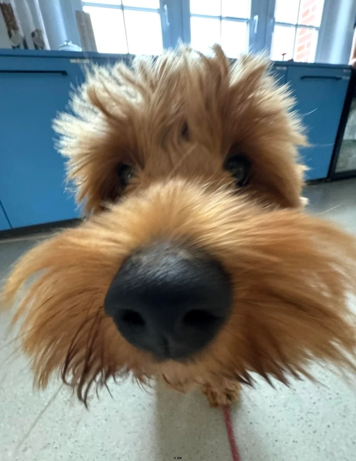 Cheezburger Image 10626650624