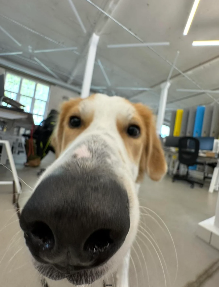 Cheezburger Image 10626651136