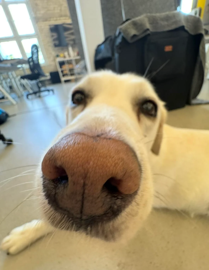 Cheezburger Image 10626651392