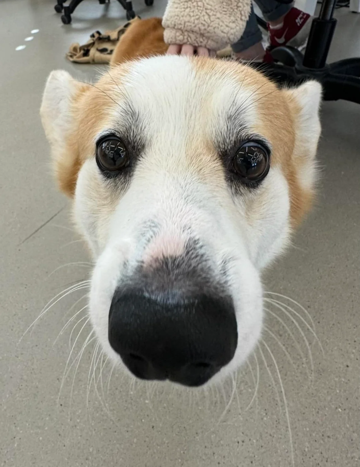 Cheezburger Image 10626651904