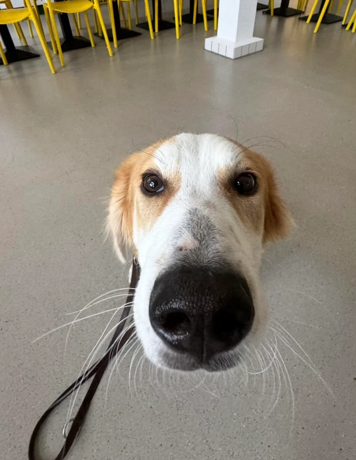 Cheezburger Image 10626652672