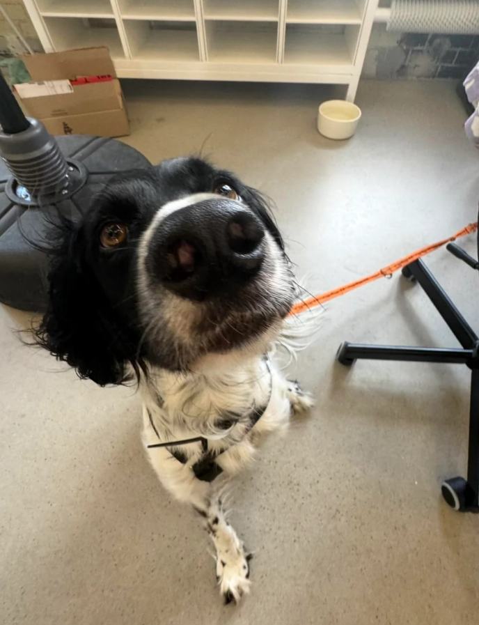 Cheezburger Image 10626652928