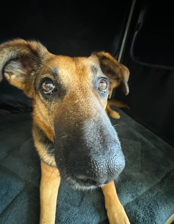 Cheezburger Image 10626653440