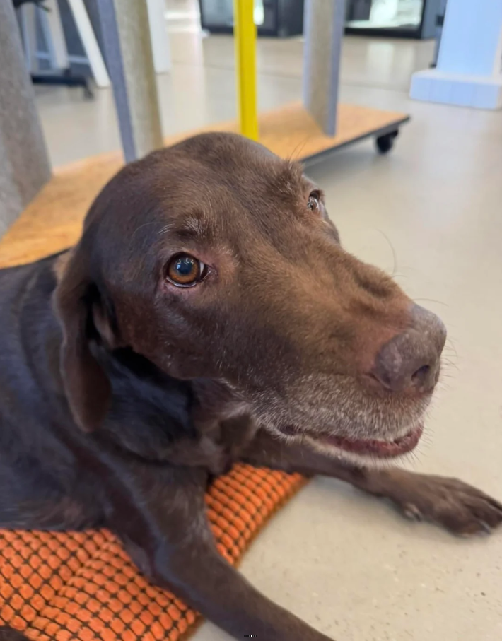 Cheezburger Image 10626654208