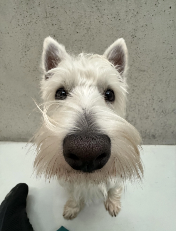 Cheezburger Image 10626654720