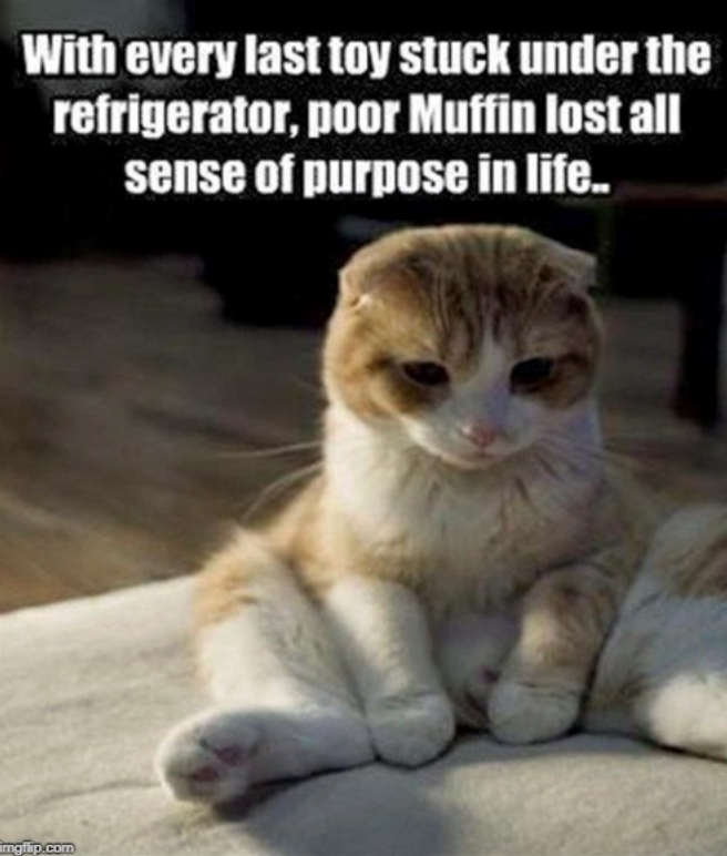 With every last toy stuck under the refrigerator, poor Muffin lost all sense of purpose in life.. imgflip.com