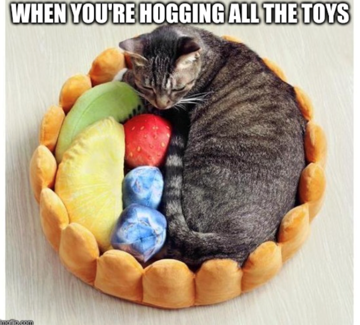 WHEN YOU'RE HOGGING ALL THE TOYS maflip.com