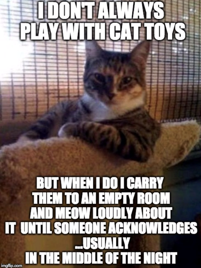 I DON'T ALWAYS PLAY WITH CAT TOYS BUT WHEN I DO I CARRY THEM TO AN EMPTY ROOM AND MEOW LOUDLY ABOUT IT UNTIL SOMEONE ACKNOWLEDGES ...USUALLY IN THE MIDDLE OF THE NIGHT imgflip.com