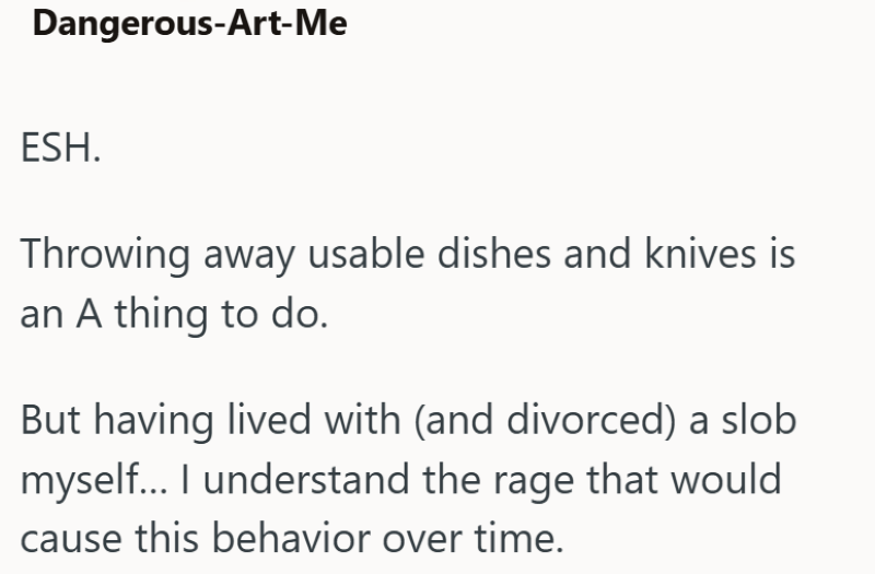 Dangerous-Art-Me ESH. Throwing away usable dishes and knives is an A thing to do. But having lived with (and divorced) a slob myself... I understand the rage that would cause this behavior over time.