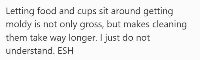 Letting food and cups sit around getting moldy is not only gross, but makes cleaning them take way longer. I just do not understand. ESH
