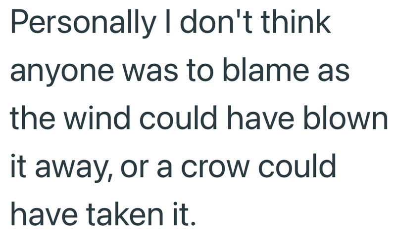 Personally I don't think anyone was to blame as the wind could have blown it away, or a crow could have taken it.