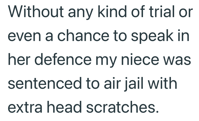 Without any kind of trial or even a chance to speak in her defence my niece was sentenced to air jail with extra head scratches.