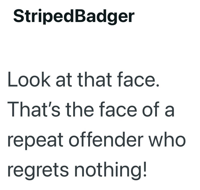StripedBadger Look at that face. That's the face of a repeat offender who regrets nothing!