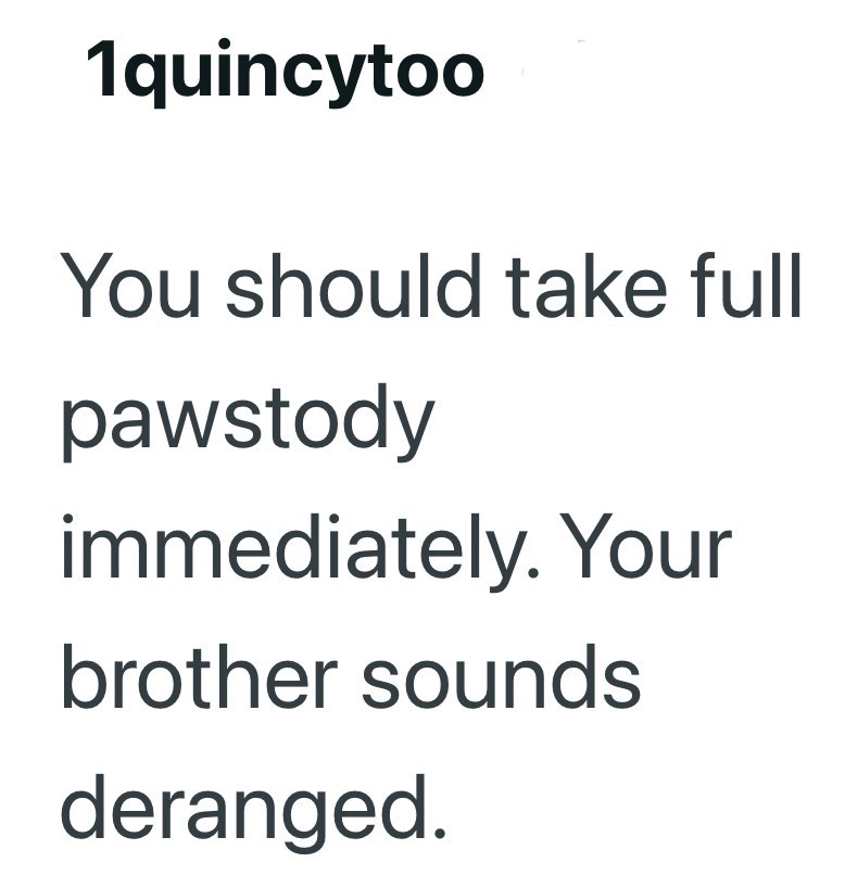 1quincytoo You should take full pawstody immediately. Your brother sounds deranged.