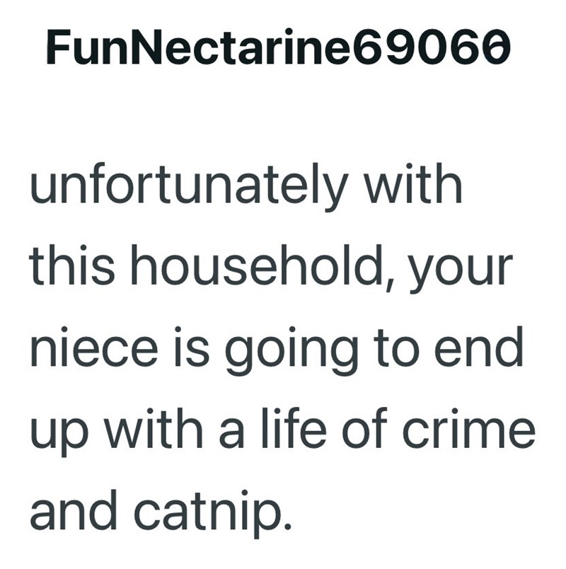 FunNectarine69060 unfortunately with this household, your niece is going to end up with a life of crime and catnip.
