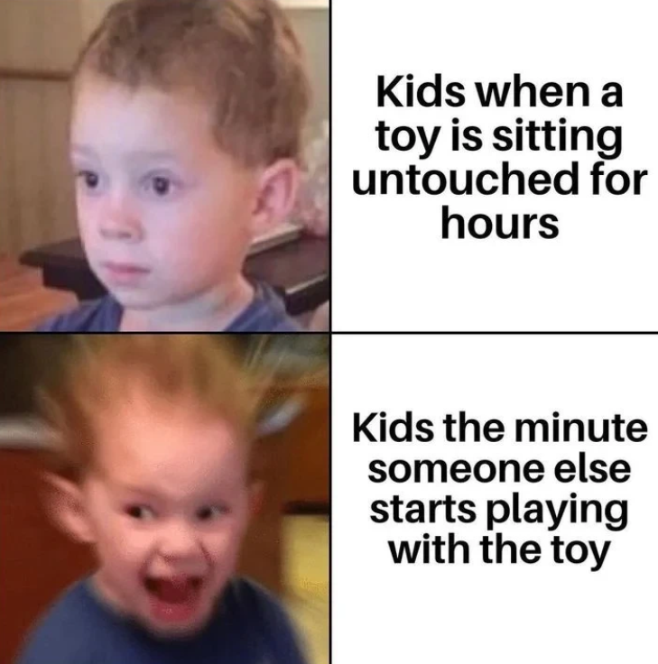 Kids when a toy is sitting untouched for hours Kids the minute someone else starts playing with the toy