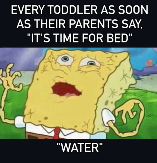 EVERY TODDLER AS SOON AS THEIR PARENTS SAY, "IT'S TIME FOR BED" "WATER"