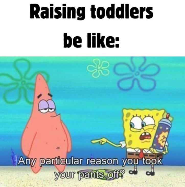 Raising toddlers be like: Any particular reason you took your pants off?