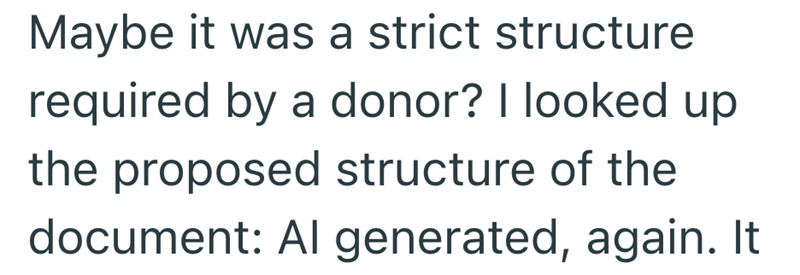 Maybe it was a strict structure required by a donor? I looked up the proposed structure of the document: Al generated, again. It