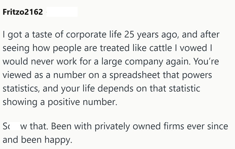 Fritzo2162 I got a taste of corporate life 25 years ago, and after seeing how people are treated like cattle I vowed I would never work for a large company again. You're viewed as a number on a spreadsheet that powers statistics, and your life depends on that statistic showing a positive number. Sc w that. Been with privately owned firms ever since and been happy.