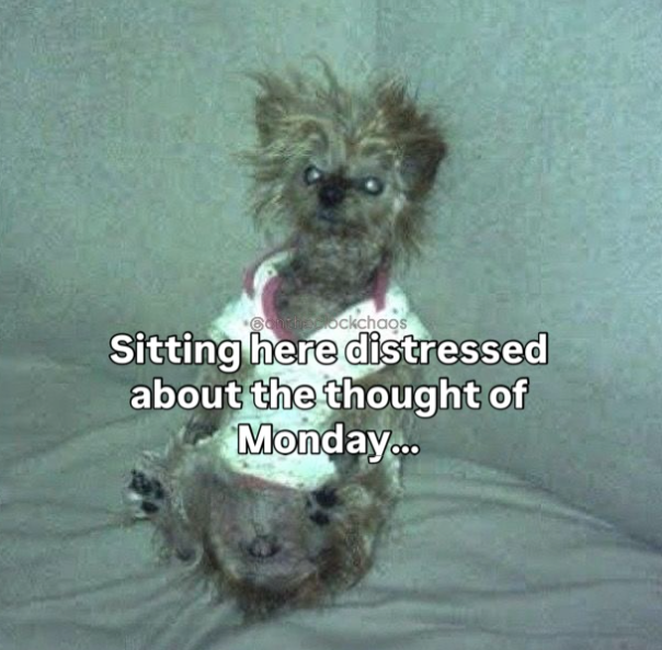 Condecockchaos Sitting here distressed about the thought of Monday...