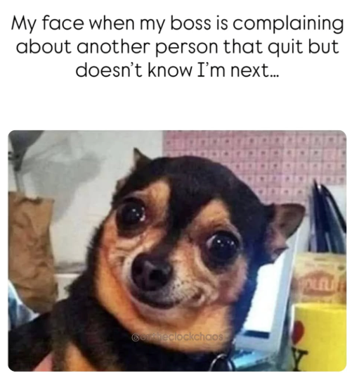 My face when my boss is complaining about another person that quit but doesn't know I'm next... Conhedlockchaos OLELI