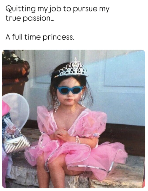 Quitting my job to pursue my true passion.... A full time princess.