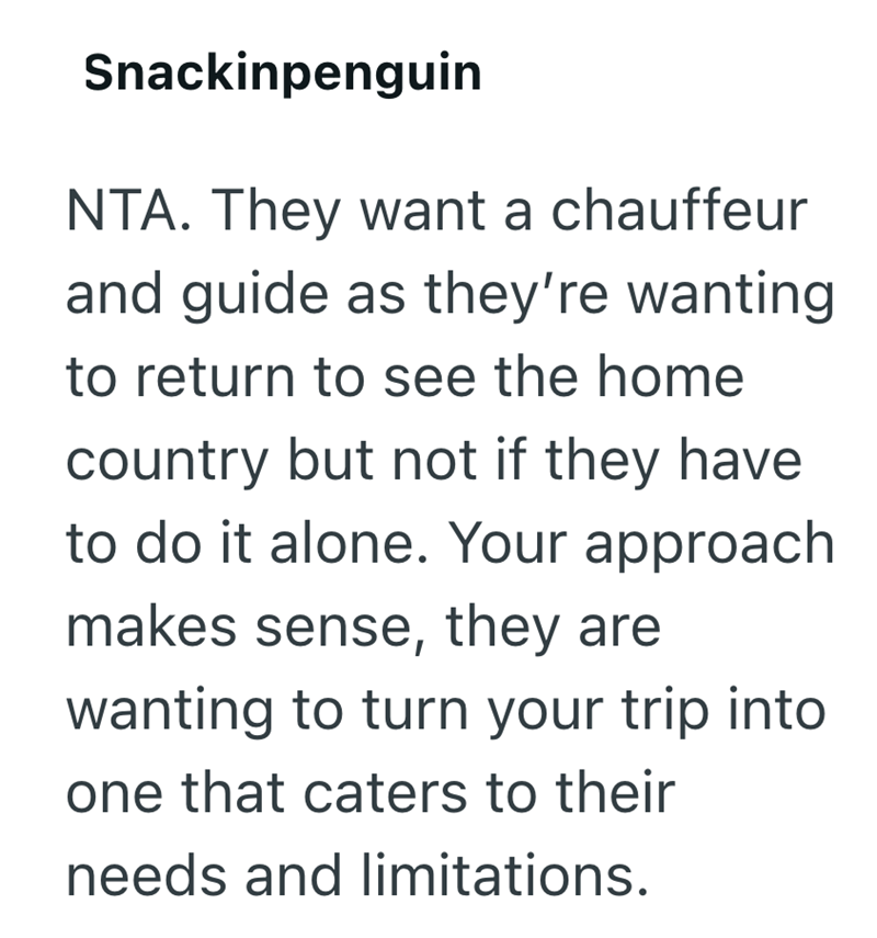 Snackinpenguin NTA. They want a chauffeur and guide as they're wanting to return to see the home country but not if they have to do it alone. Your approach makes sense, they are wanting to turn your trip into one that caters to their needs and limitations.