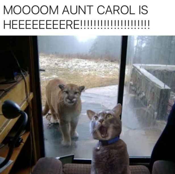 MOOOOM AUNT CAROL IS HEEEEEEEERE!!!!!!!!!