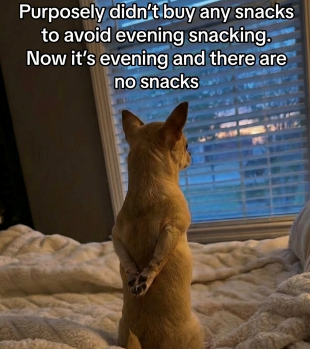 Purposely didn't buy any snacks to avoid evening snacking. Now it's evening and there are no snacks