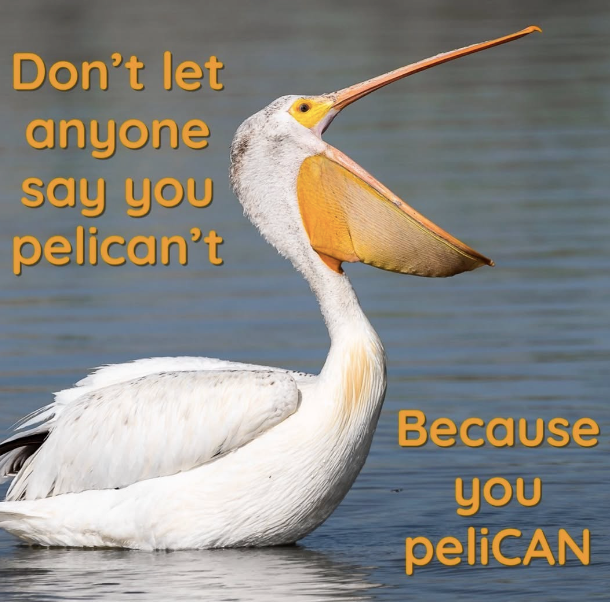 Don't let anyone say you pelican't Because you peliCAN