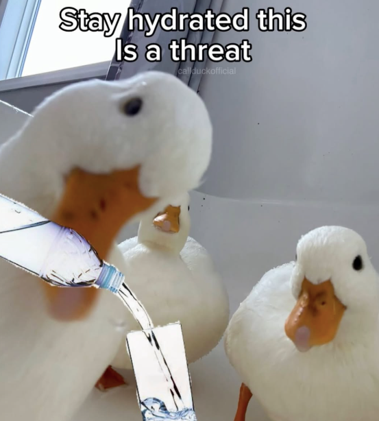 Stay hydrated this Is a threat callduckofficial