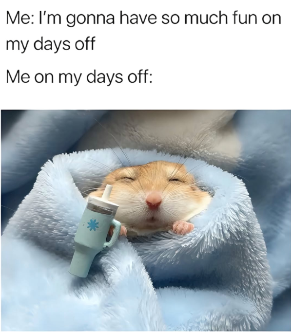 Me: I'm gonna have so much fun on my days off Me on my days off:
