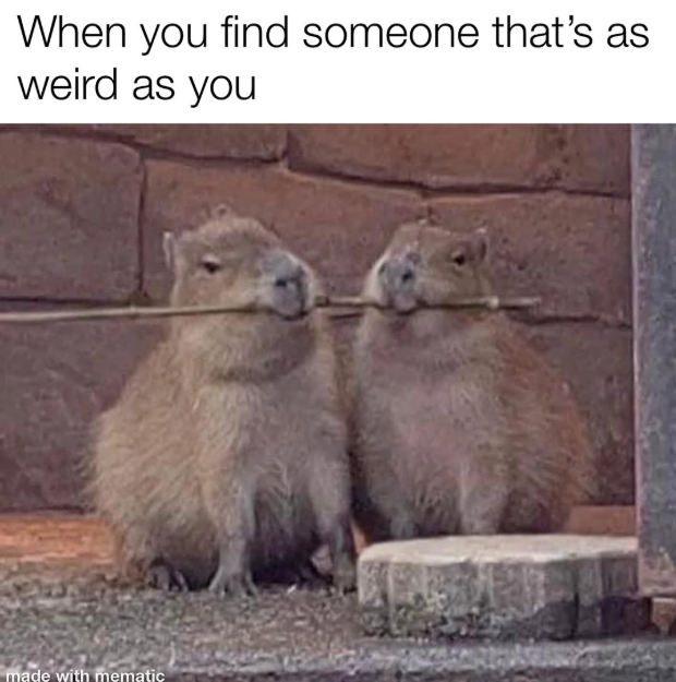 When you find someone that's as weird as you made with mematic