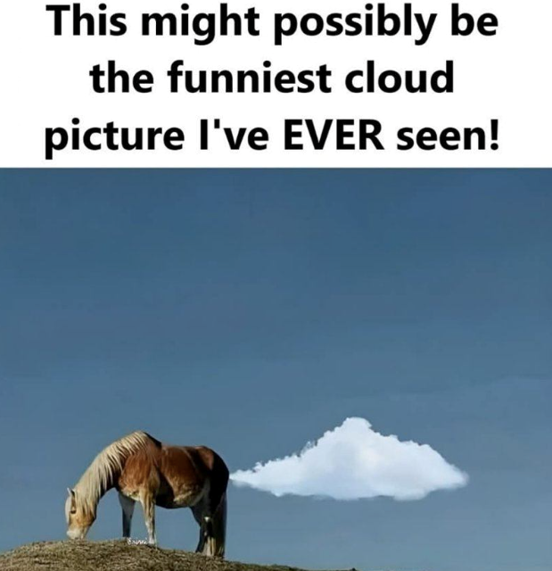 This might possibly be the funniest cloud picture I've EVER seen!