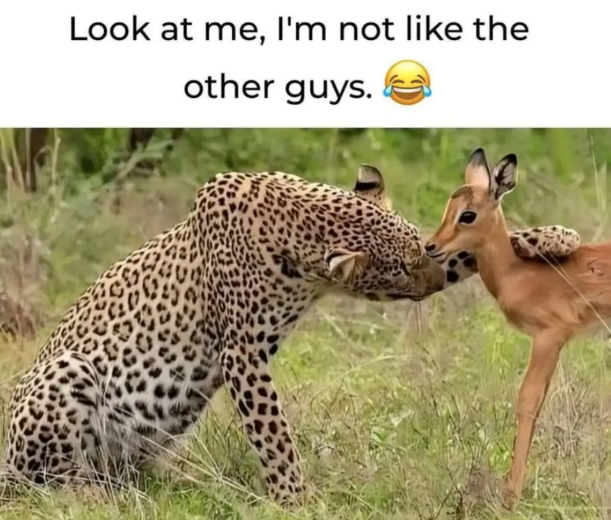 Look at me, I'm not like the other guys.