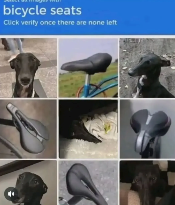 bicycle seats Click verify once there are none left