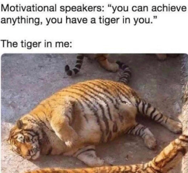 Motivational speakers: "you can achieve anything, you have a tiger in you." The tiger in me: