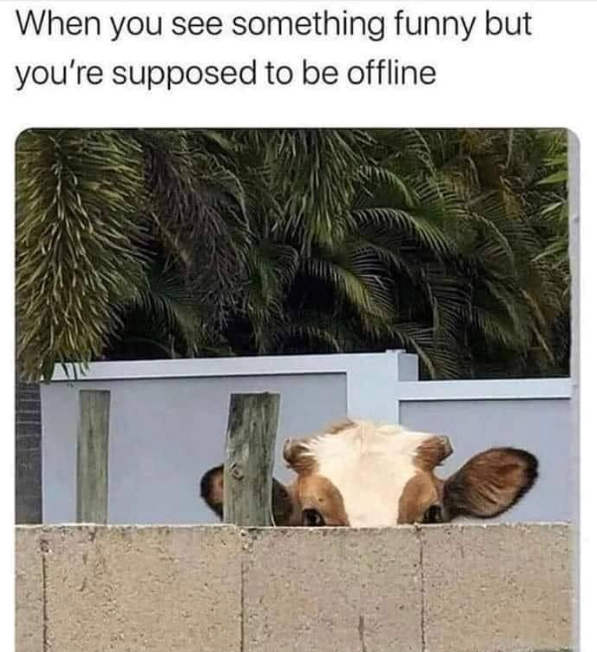 When you see something funny but you're supposed to be offline