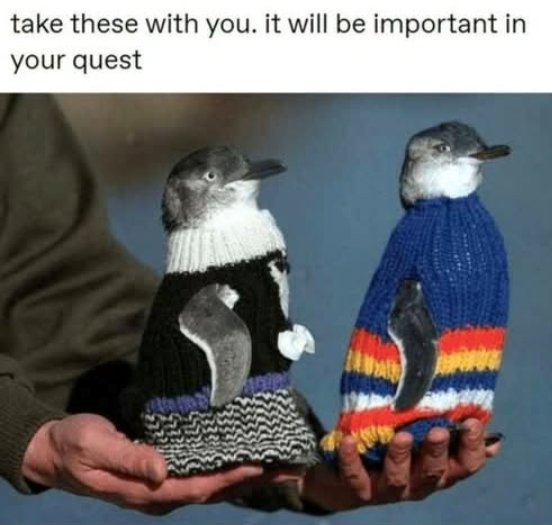 take these with you. it will be important in your quest