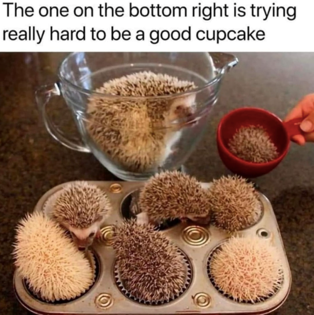 The one on the bottom right is trying really hard to be a good cupcake