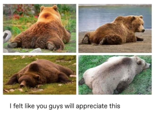 I felt like you guys will appreciate this