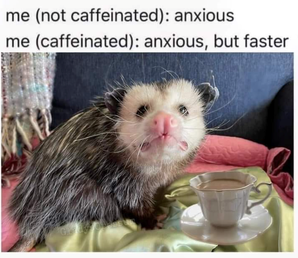 me (not caffeinated): anxious me (caffeinated): anxious, but faster