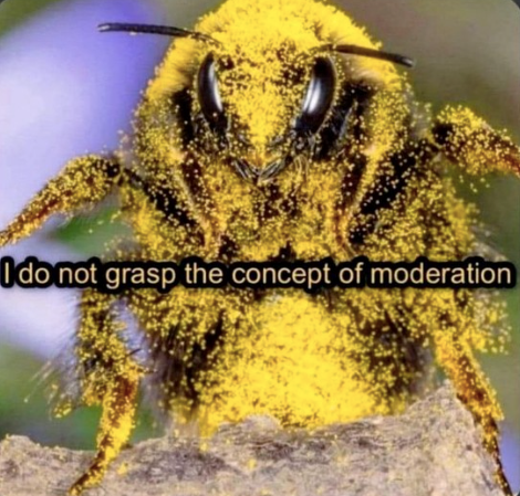 I do not grasp the concept of moderation